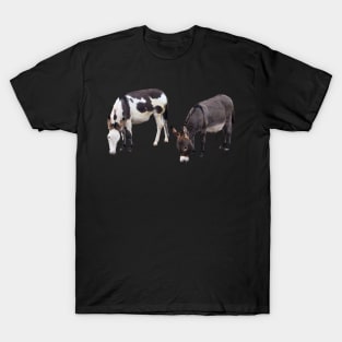 Donkeys daily life T-Shirt